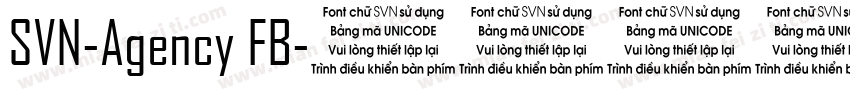 SVN-Agency FB字体转换